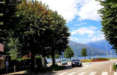 Luino Flowers Home - Photo 10