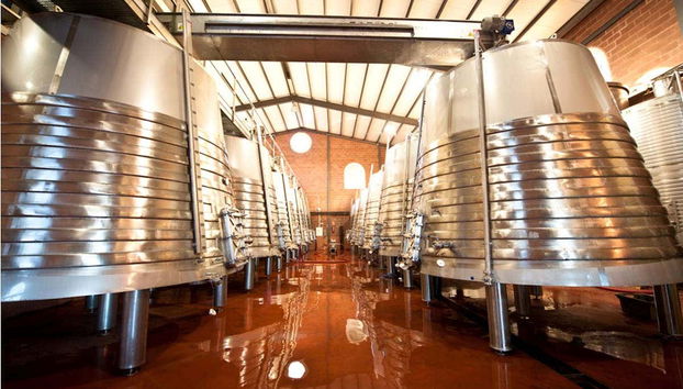 The fermentation vats
