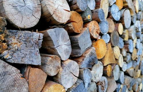 WÄLDER: Quartier Haus im Glück - Foto 20