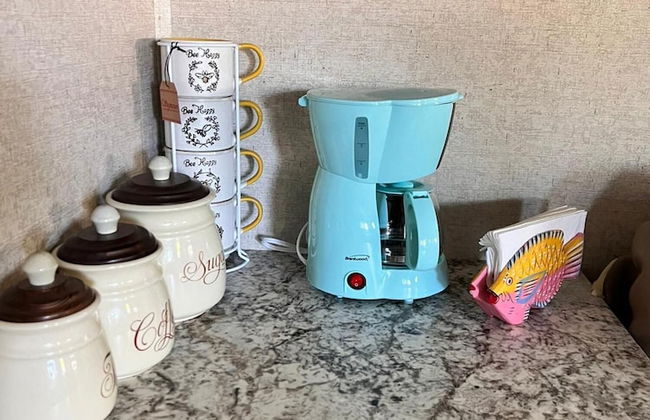 Paradise on the Wheels Clearwater Beaches - Photo 14