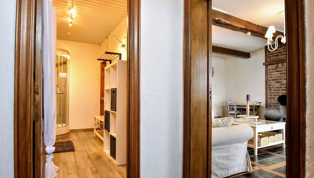 Luxury Pool Villa in Goesnes - Foto 3, Recepción