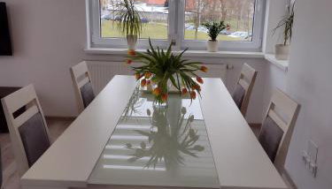 Apartament Jagielloński - Foto 5