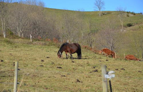 Casa Rural Mollo, Vall de Camprodon - Foto 57