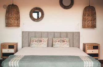 Vale Pisco - Photo 14