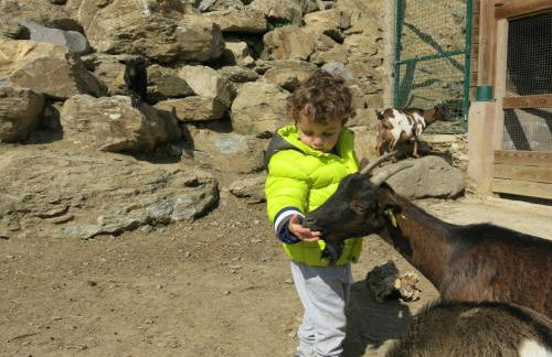 Apartamentos Rurales Les Barnedes - Foto 35