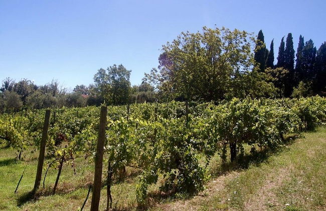 Bio Agriturismo La Spiga D'oro - Photo 39