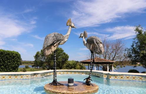 Herdade dos Grous - Foto 2