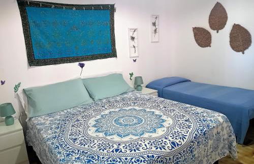 Mare Sole Vento 38 Punta Prosciutto - Foto 15