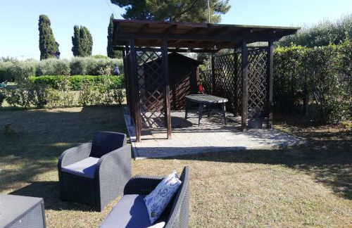 L'Aia degli olivi - Foto 16