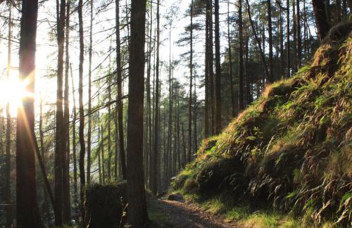 Crotlieve Barn - Photo 27