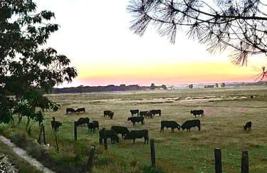 La Casa del Ciprés - Foto 17