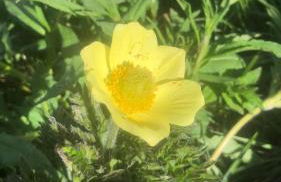 Giuditta FreeCarPark&Garden - Photo 50