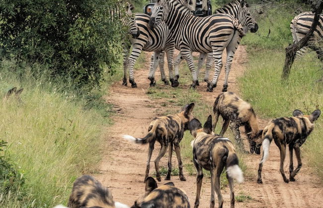 Marepe Mountain View - Photo 53