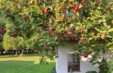 Das Apfelhaus - Foto 14