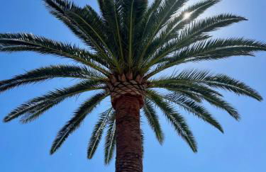 Tierratlanta Suites - Foto 18