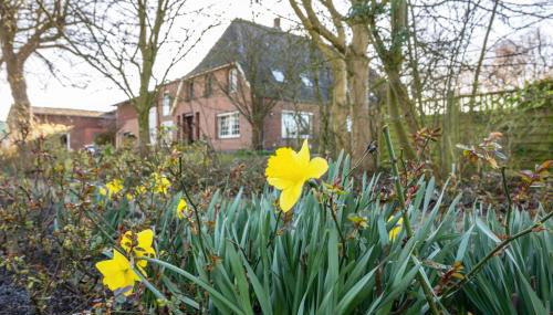 Ferienhof Friccius - Foto 2