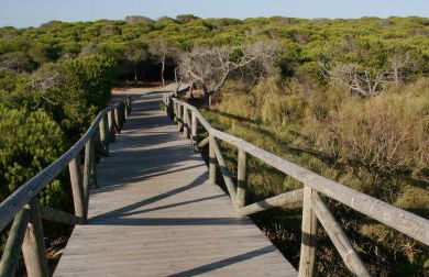 Apartamento Playa de Punta Candor - Foto 40