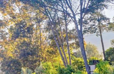 Tra Mare e Collina c'è Belmare - Foto 11