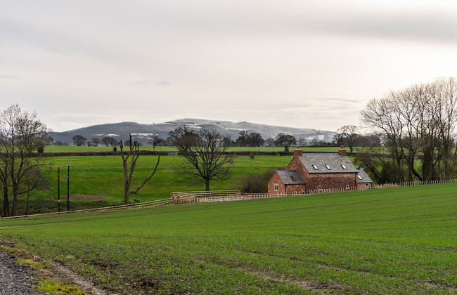 The Patches - Photo 56