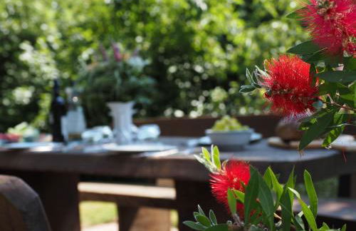 Zur-Kirsche - Foto 15