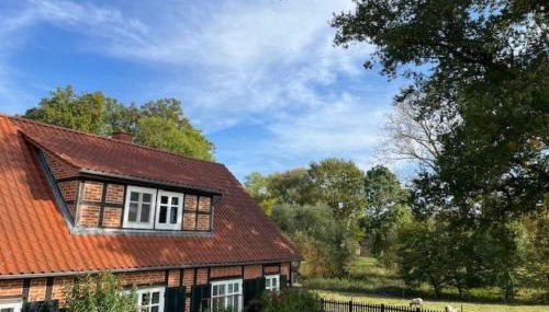 Holiday Home Haus Elbrose inmitten von Rosen mit Elbdeichzugang by Interhome - Foto 5