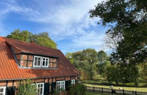 Holiday Home Haus Elbrose inmitten von Rosen mit Elbdeichzugang by Interhome - Foto 5