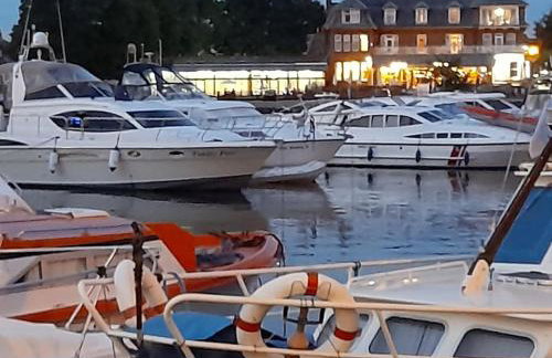 Rose Cottage, 2 Bedroom Cottage with character, near Southwold - Photo 15