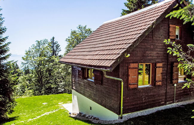 Chalet de la Vue des Alpes - Foto 22