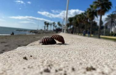 Mar azul Playa Misericordia 150 m by Key -wise - Photo 40