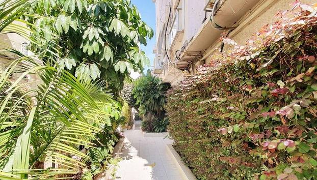 Dizengoff Brique in Tel Aviv-yafo - Foto 2, Habitación