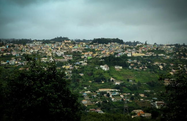 The Pear County - Foto 27