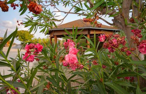 Agriturismo L'Istrice di Giò - Foto 46