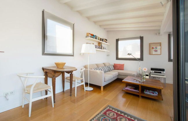 Canavall - Photo 129