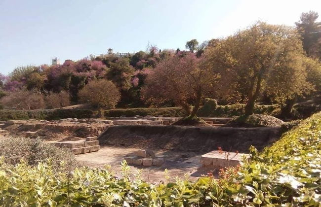 Elizabeth Hotel - Photo 23