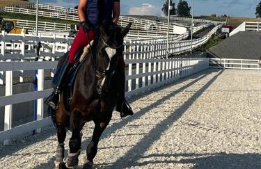 Agroturystyka Ranczo Gościszów - Foto 16