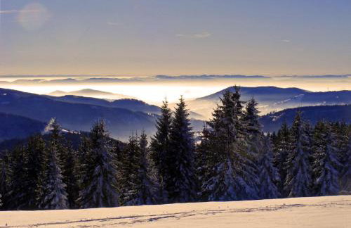 Sport Rees - Ferienwohnung Anna - Photo 15