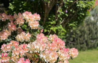 Villa L & S - Gemütliche Ferienwohnung im Grünen bei Dresden - Photo 20