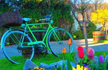 Kuća za odmor Delak - Foto 40