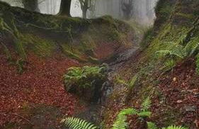 Ferienwohnung HYGGELIG - Göttingen Harz Duderstadt - Foto 24