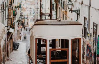 Typical Lisbon Apartment Príncipe Real - Photo 17