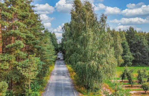 Luxurious Home In Niwy Ostroleckie - Foto 19