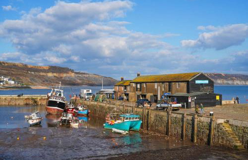 18th Century Thatched Cottage Parking & Garden - Foto 53