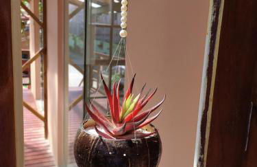 RECANTO RAVI - Foto 17