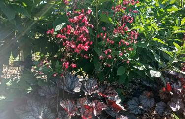 Noclegi, pokoje, kwatery "Nad Bzurą" - Foto 13