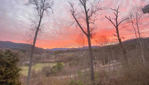 Pleasant Grove Cottages - Misty Mtn (#113) / Lazy Bear (#115) - Foto 1