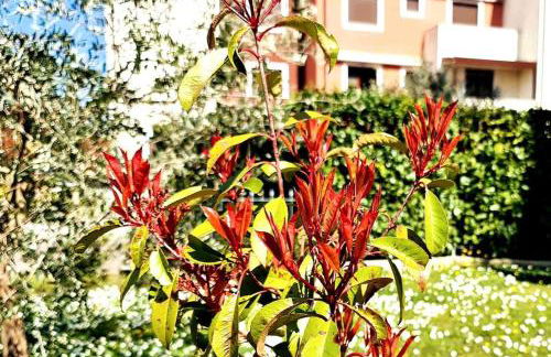 Cleo’s home - Foto 11