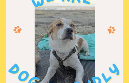 La Casa delle Magnolie - Foto 7