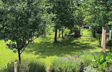 Apartman Latin 2 - Photo 7