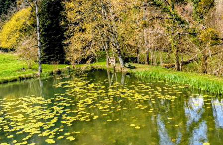 Chateau Eyparsac - Photo 47