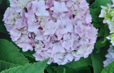 Wycinki domek - Foto 31